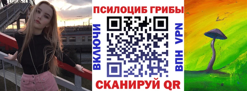 Купить где  Нарьян-Мар  Псилоцибиновые грибы мицелий 